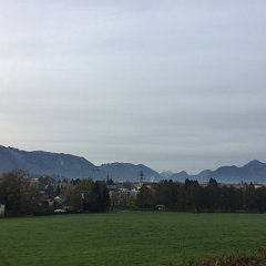 IMG 079